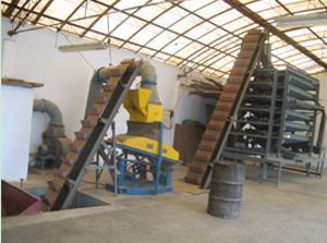 Combined sieving machine for peanut kernel